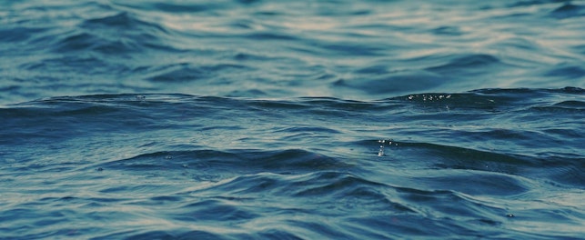 21 lipca w okolicach Świnoujścia miało miejsce odkrycie nowych złóż ropy naftowej oraz gazu przez firmę Central European Petroleum.